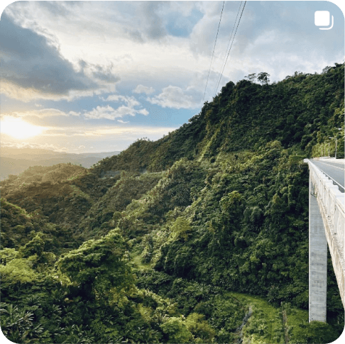 Discover the Agas Agas Bridge in Leyte! 🌉

📍 Location: Nestled in Leyte, Philippines, the Agas Agas Bridge is a remarkable arch bridge that spans the Agas-Agas River Gorge, captivating visitors with its stunning design and engineering prowess. Just an hour and half from Lintaon.

📐 The Agas Agas Bridge boasts impressive dimensions, with a length of approximately 350 meters (1,150 feet) and a height of 292 meters (958 feet). It stands as one of the tallest and longest arch bridges in the Philippines.

🌿 Scenic Wonder: As you traverse this architectural marvel, be prepared to be enthralled by the picturesque vistas that unfold before you. Lush green landscapes, cascading waterfalls, and panoramic views of the Agas-Agas River Gorge create a breathtaking backdrop for your journey.

🎒 Travel Tips: To make the most of your visit, plan your trip during the early morning or late afternoon to witness the bridge in the best possible light. Don't forget to bring your camera to capture the awe-inspiring beauty that surrounds you.

✨ Experience the Magic: Step onto the Agas Agas Bridge and immerse yourself in the union of human ingenuity and natural splendor. This architectural masterpiece will leave you in awe of the wonders that exist in our world.